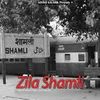 About Zila Shamli Song